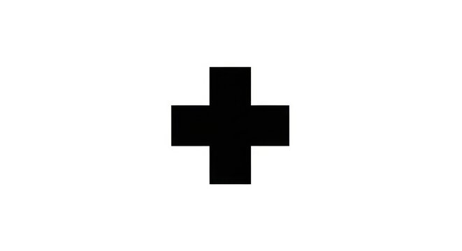 Black plus sign on white background.