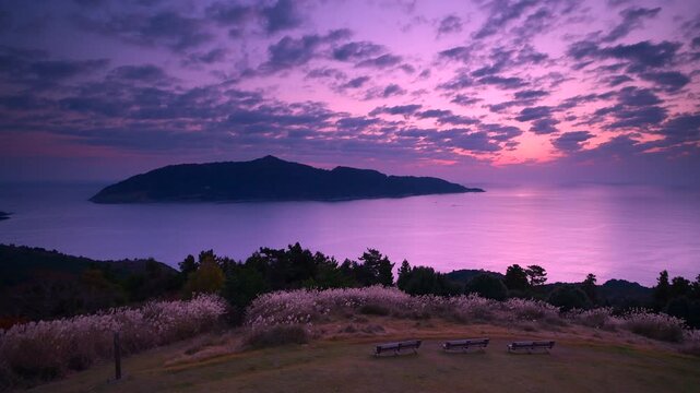 金華山とおしか御番所公園と太平洋の朝