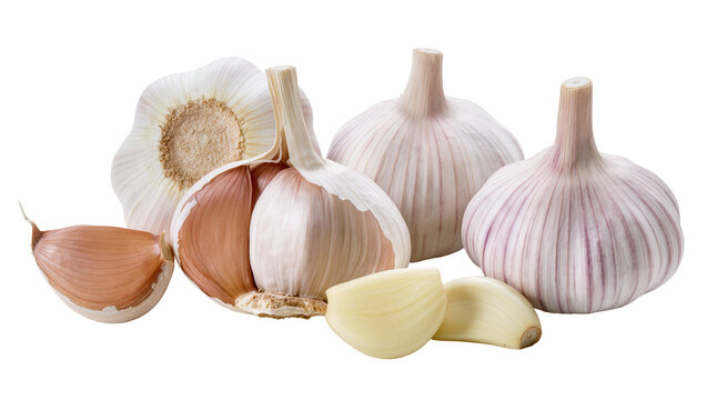 Fresh garlic bulbs and cloves, isolated on transparent background
