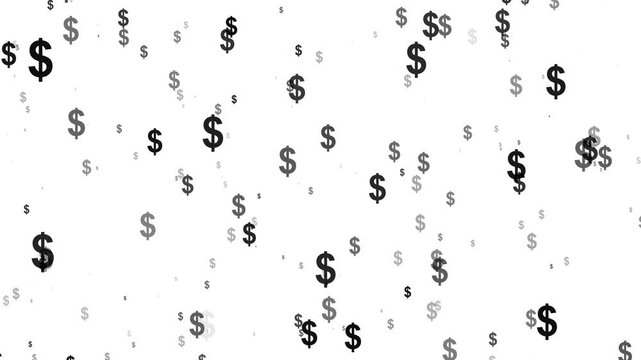 USA Dollar signs symbol Falling up animation on white background, Flying up USD Symbols icon 