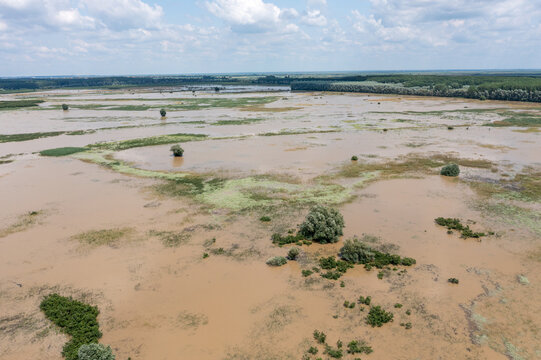 Aerial view of flooded wetlands with scattered trees and lush vegetation under a cloudy sky in Centa, Vojvodina, Serbia.