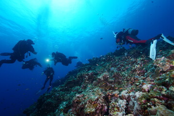 scuba diver and coral reef in Miyakojima island Okinawa © YUDAI