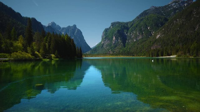 Looking across Lake Toblach water surface towards the protected biotope and wetlands, South Tyrol.