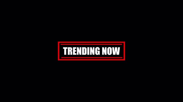 Trending Now Stamp Animation on Transparent Background, Popular Trending Badge for Promotion and Marketing, Trending now 4K Video.