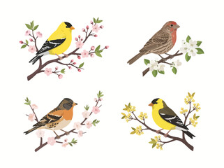Fototapeta premium Four watercolor illustrations of small songbirds perched on flowering tree branches.