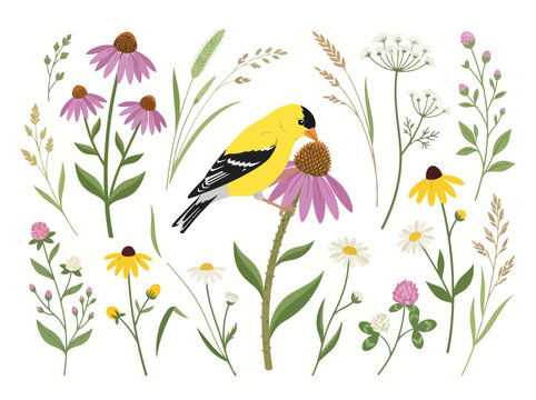 A vibrant watercolor illustration featuring a bright yellow goldfinch perched on a purple coneflower surrounded by various wildflowers and grasses.