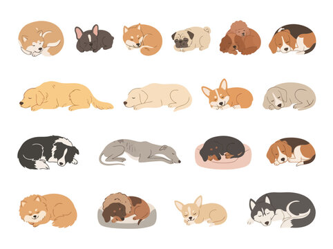 A collection of various dog breeds sleeping in different positions.