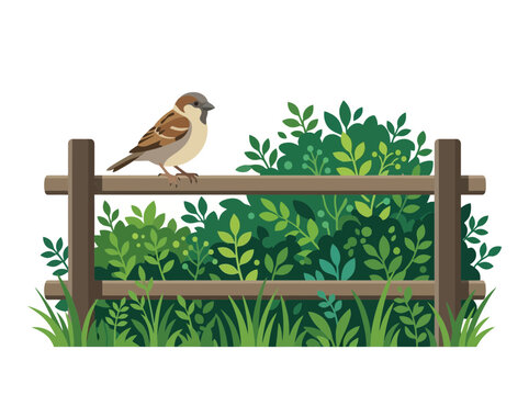 A small brown sparrow perched on a wooden fence in a garden.