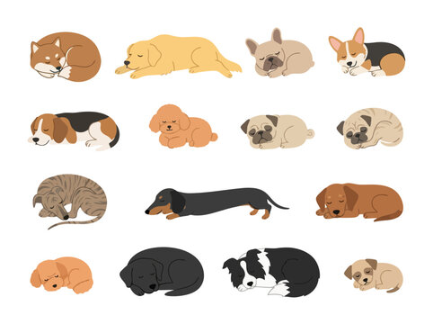 A collection of various dog breeds sleeping in different positions.