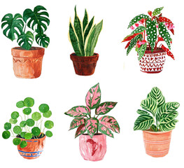 Watercolor Indoor Plant Collection with Decorative Tropical Foliage © lozhy