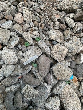 Tiny green plants growing among grey crushed rocks and rubble