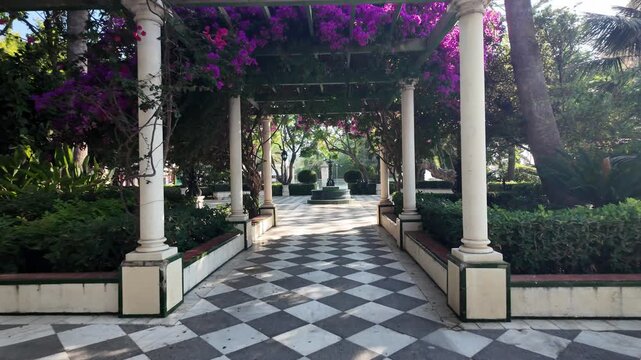 Walk through bougainvillea canopy, Jardines de Alameda Apodaca, Cadiz, Spain