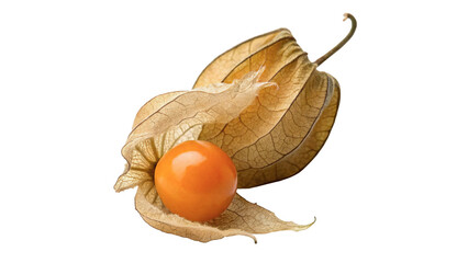 Single fresh orange physalis cape gooseberry fruit berry ingredient isolated on transparent background © PNG_MEGAStock