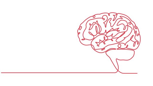 Animated continuous line art illustration of a human brain, Symbolize concepts like intelligence, Continuous one line drawing of human brain for psychology mental health creative thinking and medical.