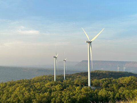 Large wind turbines rising above lush green forest canopy