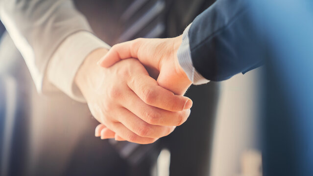 Business handshake in the office