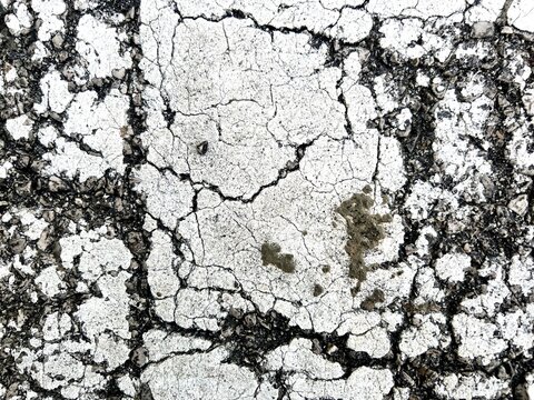 Abstract macro texture of heavily cracked and weathered white paint on a dark surface.