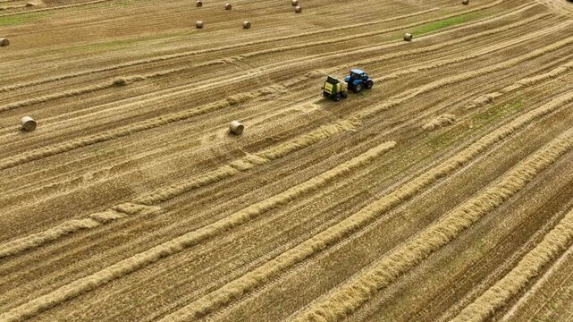 Aerial View of Tractor and Baler Moving Through Field Dotted with Round Hay Bales in 4k