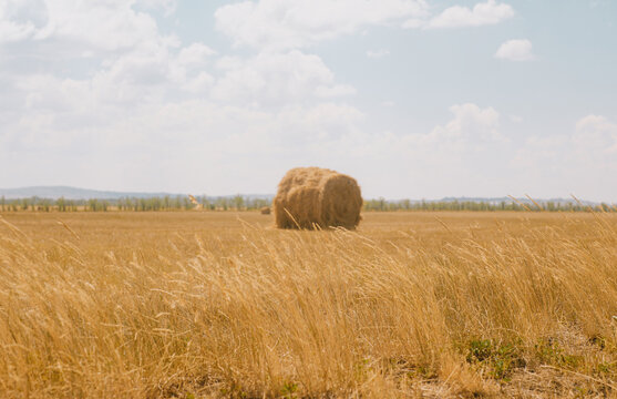 Single large round hay bale resting in a harvested golden agricultural field with distant mountain silhouettes under a sunny blue sky. East Kazakhstan