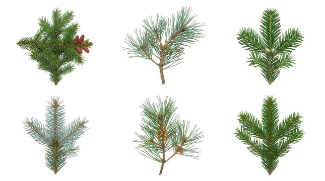 Set of small green trees and bushes for landscape design isolated on transparent background