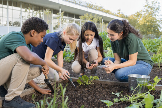 Students engaging in gardening activities in community garden for environmental education. Group of young individuals involved in hands-on experiences digging, planting, and observing plants in soil.