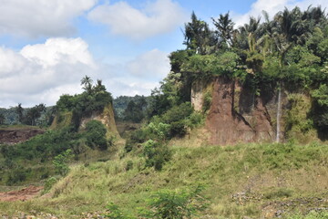 Mountain looms large behind lush green jungle. Clouds drift above, casting soft shadows. Earthly slope shows signs of erosion, bare soil exposed. Vibrant foliage thrives despite rugged terrain © Fajar