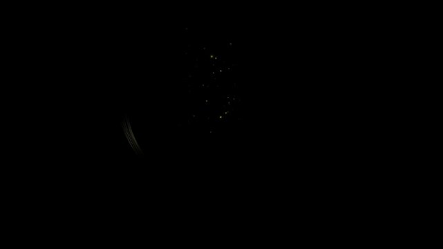 Golden glowing circular frames with floating particle trails on dark background luxury abstract motion design elements with surrounded swirling trails shimmering dust particles