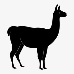 Fototapeta premium Llama Silhouette Vector – Black Minimalist Animal Icon Design