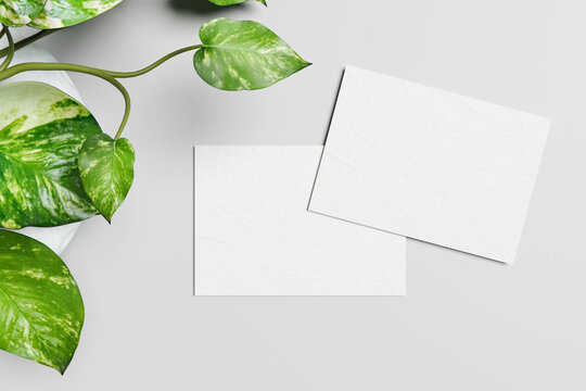 Gift card mockup set with two overlapping blank white textured paper sheets, postcard greeting card template with green plant leaves on grey background, top view flat lay presentation, 3d render