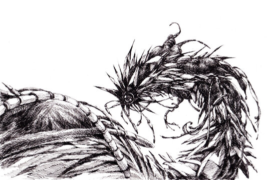 A high-detail hand-drawn ink sketch featuring a surreal spiky organic creature with chaotic sharp thorns, designed as an abstract dark fantasy background texture for graphic design and apparel