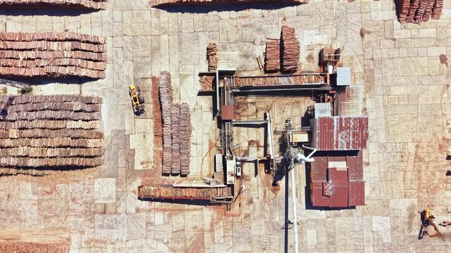 Workers are processing logs in a facility. Stacks of logs are organized in rows. Machinery is moving and cutting wood in a yard under sunlight.