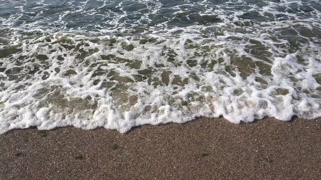 Rough coastal waves crashing onto rocky shore covered with green algae and sea foam. Murky water, sandy beach texture, and scenic horizon under a cloudy sky. Environmental nature background.
