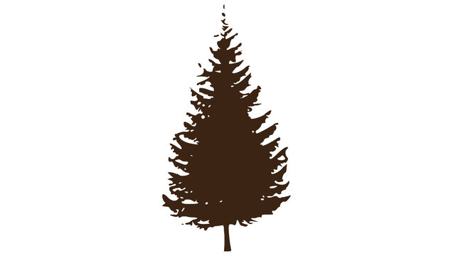 Tall Pine Tree Silhouette image isolated on a transparent background