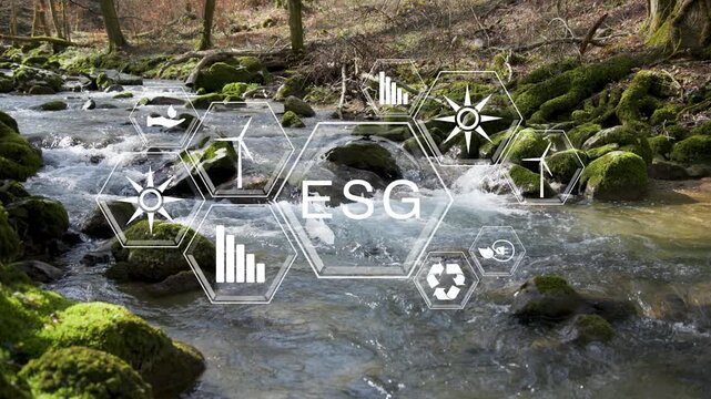 Concept ESG on a sunny forest river background.