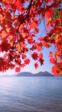 洞爺湖と紅葉