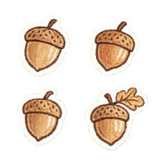 Obraz premium PNG Hand-drawn acorn sticker set.