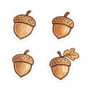PNG Hand-drawn acorn sticker set.
