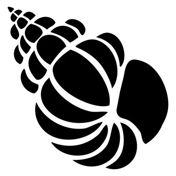 Icono de vida marina. Dibujo sencillo de la silueta de una concha de molusco en espiral	