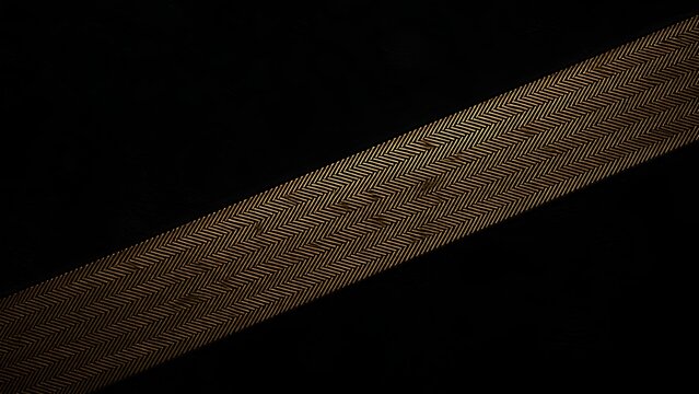 黒い背景に描かれた金色の繊細なヘリンボーンの線 / Delicate golden herringbone line on a black background (Generative AI)