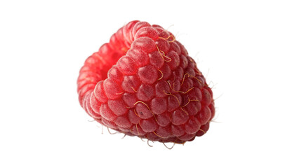 Single fresh sweet ripe red raspberry berry fruit food ingredient isolated on transparent background © Harry