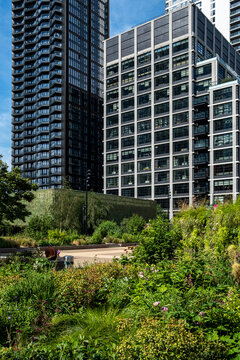 Sunlight spreads across a garden of flowers and layered plants, where greenery softens the city landscape beneath towers and modern architecture around a glass building