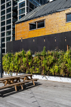 Picnic benches line a terrace beside planters and greenery, while a timber building and dark facade define compact city architecture through layered surfaces
