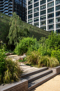 Broad steps and timber seating cross a garden terrace, where trees and greenery shape the city landscape beneath a modern building and layered architecture
