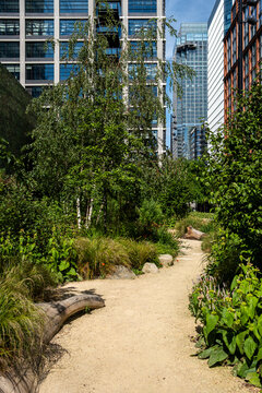 A sunlit pathway winds through a summer garden, where greenery and layered plants frame a city walkway as towers introduce architecture to the landscape
