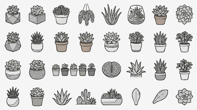 Minimalist Line Drawing Collection of Various Succulents and Cacti in Geometric Pots and Planters