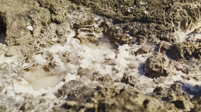 Macro Shot of Natural White Sea Salt Crystals Forming on Rocky Ground