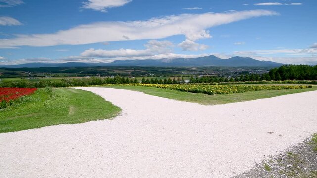 フラワーランド　ヘブンロード白い道と　十勝岳連峰