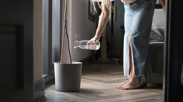 Low section of anonymous transgender woman in denim skirt pouring water with glass bottle in potted plant on hardwood floor at home