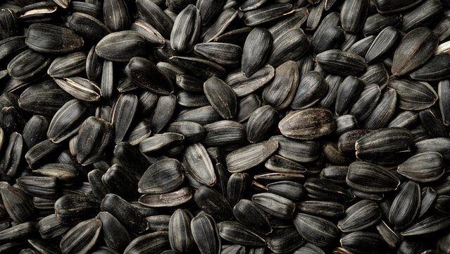 Roasted sunflower seeds with shell fill the entire frame. Healthy vegan snack packed with protein and vitamins. Great choice for diet food background presentation.