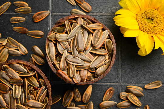 Raw striped sunflower seeds in rustic wooden bowls lie on slate tile surface. Delicious organic snack for healthy diet. Great background image for agricultural concept.